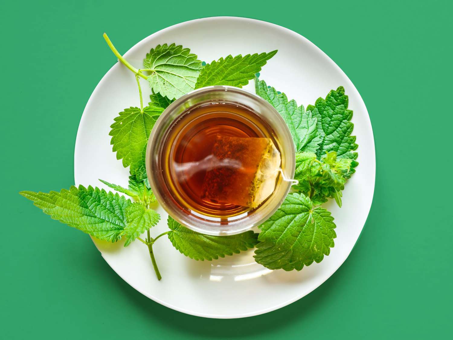 an image showing a glass with nettle tea, nettle tea bag and a saucer with nettle leaves on a green background.